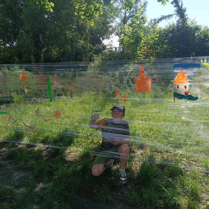 Przedszkolny Piknik Rodzinny