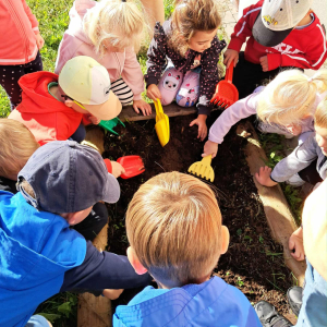 sadzenie cebulek kwiatowych