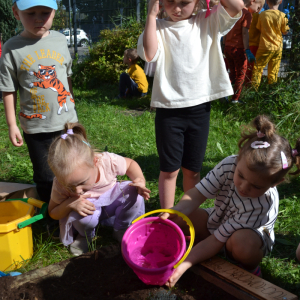 sadzenie cebulek kwiatowych