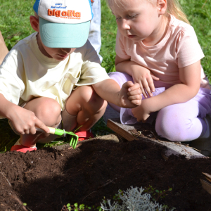 sadzenie cebulek kwiatowych
