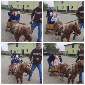 Dzieci biorą udział w wycieczce "Ranczo Artemidy w Nowej Górze ".