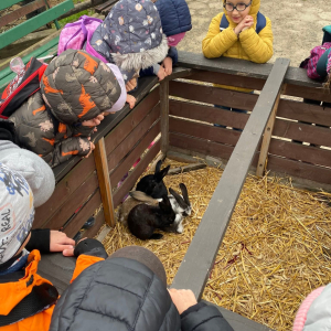 Dzieci biorą udział w wycieczce "Ranczo Artemidy w Nowej Górze ".