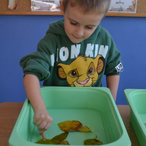 Dzieci ćwiczą motorykę małą, chwytając listki zanurzone w wodzie za pomocą spinaczy.