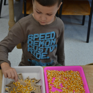 Dzieci rozwijają sprawność manualną przy pomocy wysypywanek w jesiennych kształtach, wypełnianych kaszą, kukurydzą, grochem i soczewicą.