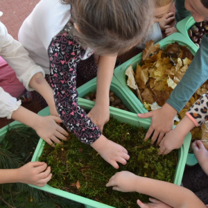 Dzieci poznają fakturę mchu.