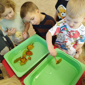 Dzieci ćwiczą motorykę małą, chwytając listki zanurzone w wodzie za pomocą spinaczy.