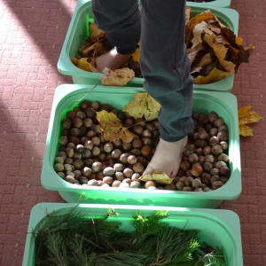 Spacer po jesiennej ścieżce sensorycznej, wykonanej z naturalnych materiałów.