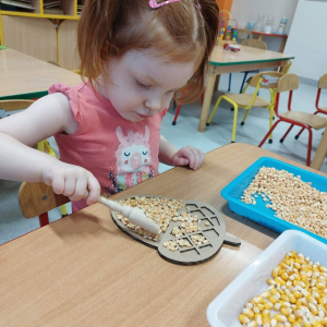 Dzieci rozwijają sprawność manualną przy pomocy wysypywanek w jesiennych kształtach, wypełnianych kaszą, kukurydzą, grochem i soczewicą.
