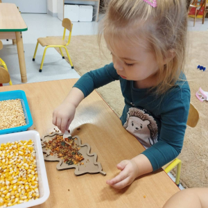 Dzieci rozwijają sprawność manualną przy pomocy wysypywanek w jesiennych kształtach, wypełnianych kaszą, kukurydzą, grochem i soczewicą.