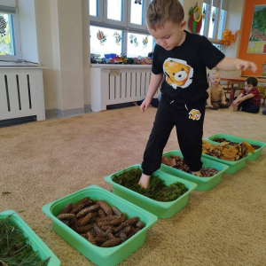 Spacer po jesiennej ścieżce sensorycznej, wykonanej z naturalnych materiałów.