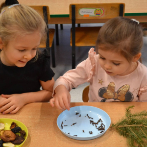 Dzieci realizują grudniowe zadanie innowacji pedagogicznej Sensoryczne Przygody Malucha.