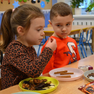 Dzieci realizują grudniowe zadanie innowacji pedagogicznej Sensoryczne Przygody Malucha.