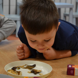 Dzieci realizują grudniowe zadanie innowacji pedagogicznej Sensoryczne Przygody Malucha.