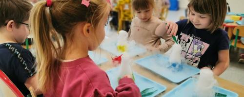  Warsztaty naukowe pt. „Kraina Nietypowego Lodu”.