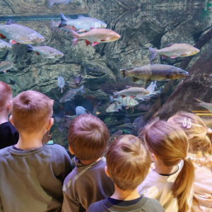 Dzieci zwiedzają Egzotarium w Sosnowcu.