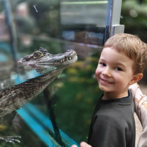 Dzieci zwiedzają Egzotarium w Sosnowcu.