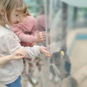 Dzieci zwiedzają Egzotarium w Sosnowcu.