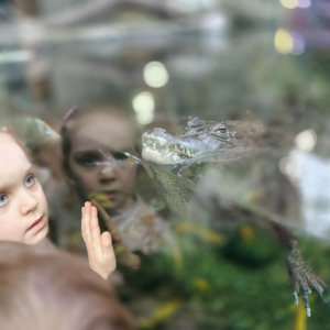 Dzieci zwiedzają Egzotarium w Sosnowcu.