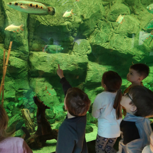 Dzieci zwiedzają Egzotarium w Sosnowcu.