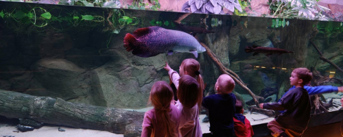 Ogród Botaniczno-Zoologiczny CEE Egzotarium - Sosnowiec