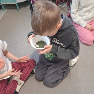 Realizacja projektu Czuciaki z krainy emocji.