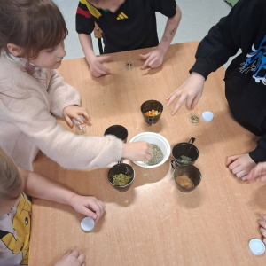 Realizacja projektu Czuciaki z krainy emocji.