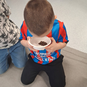 Realizacja projektu Czuciaki z krainy emocji.