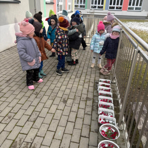 Zimowa geometria- realizacja projektu edukacyjnego.