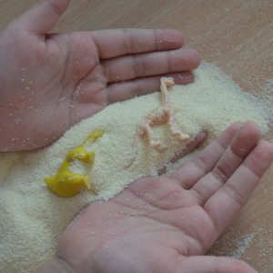 Obchody Dnia Dinozaura w naszym przedszkolu.