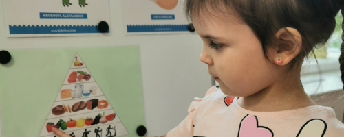 "Zdrowo jemy z Lisicą Karoliną"