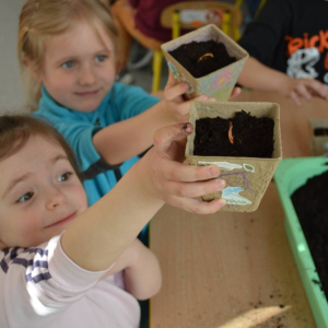 Dzieci posadziły cebulę.