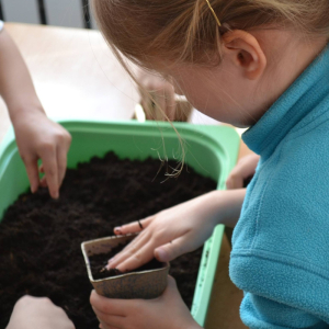 Dziecko wsypuje ziemię do doniczki.