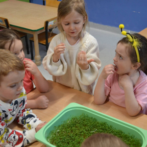 Dzieci próbują jak smakuje rzeżucha.