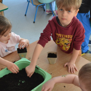 Dziecko wsypuje ziemię do doniczki.