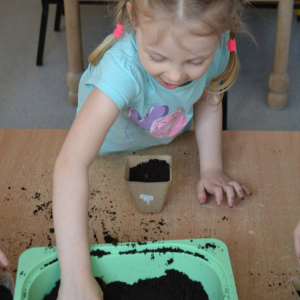 Dziecko wsypuje ziemię do doniczki.