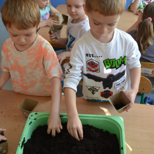 Dzieci sadzą cebulę.