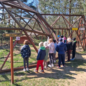 Motylki i Żabki biorą udział w wycieczce do Parku Korzonek.