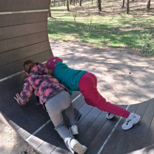 Motylki i Żabki biorą udział w wycieczce do Parku Korzonek.