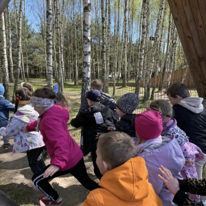 Motylki i Żabki biorą udział w wycieczce do Parku Korzonek.