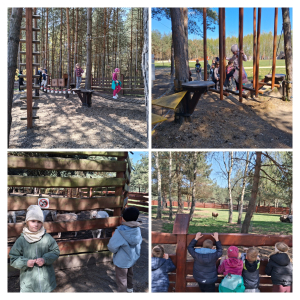 Motylki i Żabki biorą udział w wycieczce do Parku Korzonek.