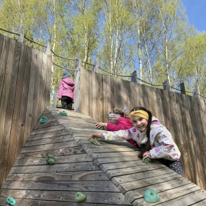 Motylki i Żabki biorą udział w wycieczce do Parku Korzonek.