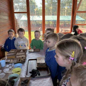 Motylki i Żabki biorą udział w wycieczce do Parku Korzonek.