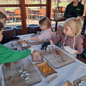 Motylki i Żabki biorą udział w wycieczce do Parku Korzonek.
