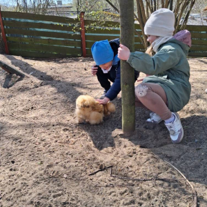 Motylki i Żabki biorą udział w wycieczce do Parku Korzonek.