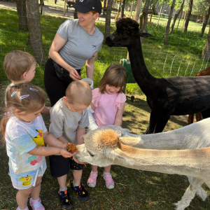 Muchomorki i Słoneczka odwiedziły Monalpi Alpaca Farm, gdzie spędziły aktywny dzień w otoczeniu przyrody i zwierząt. 