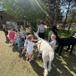 Muchomorki i Słoneczka odwiedziły Monalpi Alpaca Farm, gdzie spędziły aktywny dzień w otoczeniu przyrody i zwierząt. 