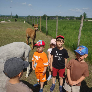 Muchomorki i Słoneczka odwiedziły Monalpi Alpaca Farm, gdzie spędziły aktywny dzień w otoczeniu przyrody i zwierząt. 