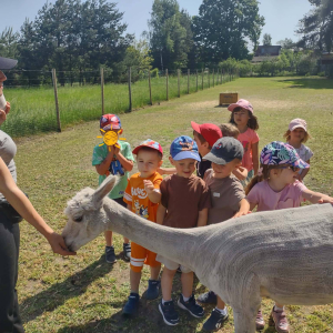 Muchomorki i Słoneczka odwiedziły Monalpi Alpaca Farm, gdzie spędziły aktywny dzień w otoczeniu przyrody i zwierząt. 