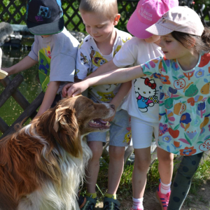 Muchomorki i Słoneczka odwiedziły Monalpi Alpaca Farm, gdzie spędziły aktywny dzień w otoczeniu przyrody i zwierząt. 