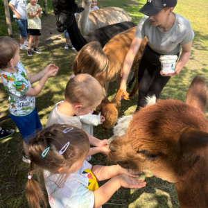 Muchomorki i Słoneczka odwiedziły Monalpi Alpaca Farm, gdzie spędziły aktywny dzień w otoczeniu przyrody i zwierząt. 